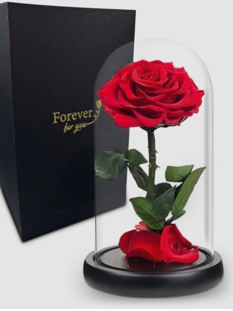 Forever Rose Single Red Rose
