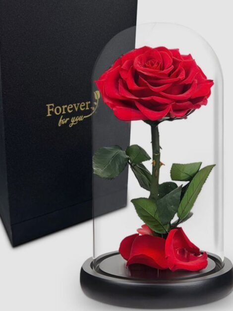 Forever Rose Single Red Rose