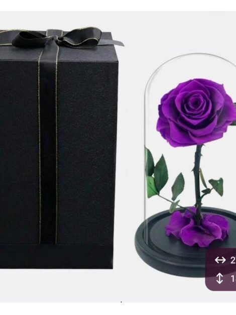 Purple Forever Rose